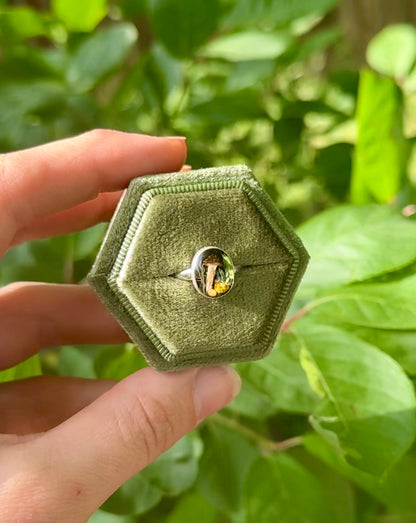 Mini Unseen World Ring